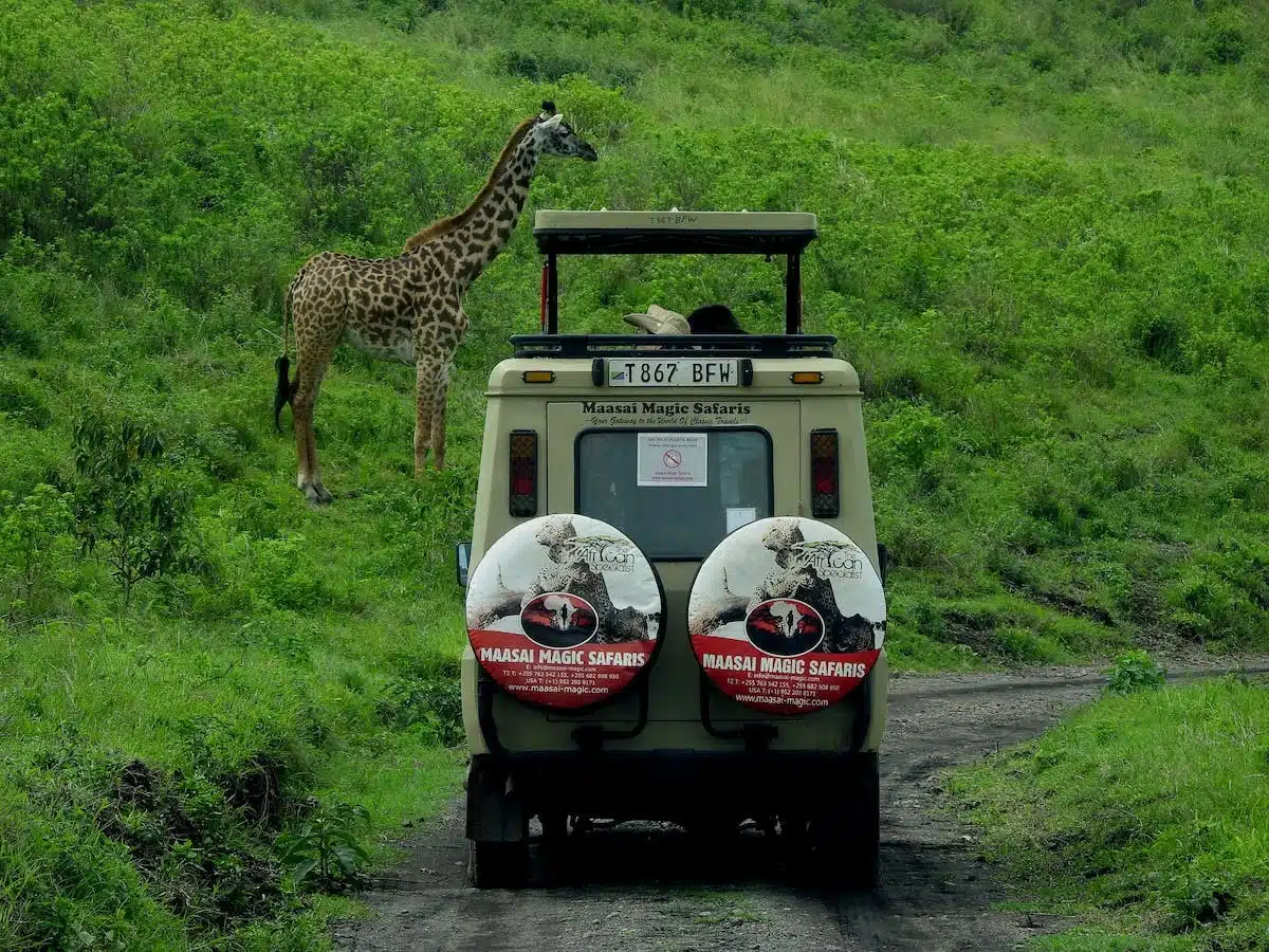 Voyage en Tanzanie : Découvrez les merveilles et les précautions à prendre